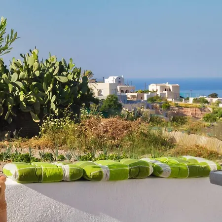The Lemon Tree House *