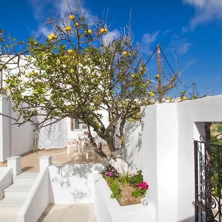 The Lemon Tree House شقة *