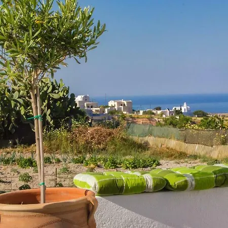 The Lemon Tree House Daire *